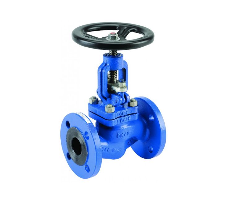 Carbon_steel_globe_valves_manufacturer_in_india