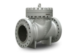 Check Valve, Flow Modulation Function, Process Accuracy Check Valves