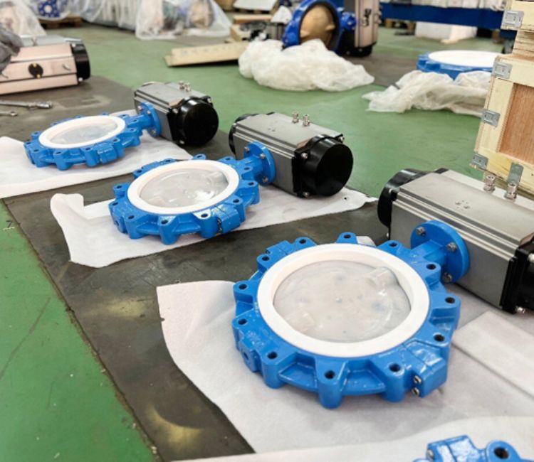 Chemically Resistant Ptfe Valves Manufacturer & Supplier | Ptfe Grade | D Chel Oil & Gas Non Reactive Ptfe Valves Industrial Chemical Handling Manufacturer.jpg