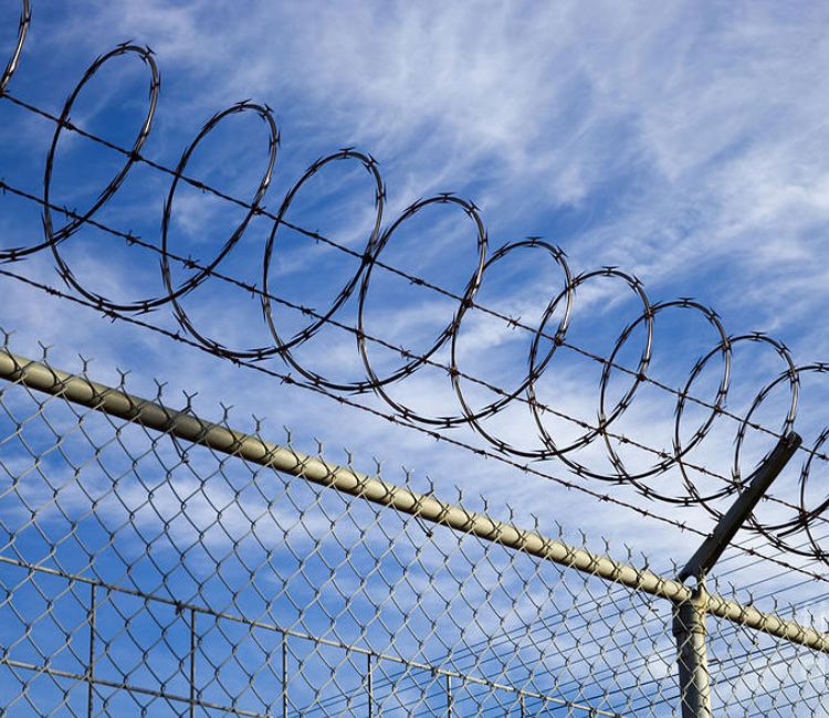 Security Grade Razor Barbed Wire Mesh Manufacturer & Supplier | Stainless Steel SS 304 & SS 316 Grade | Timex Metals Razor Barbed Wire Mesh Manufacturer India