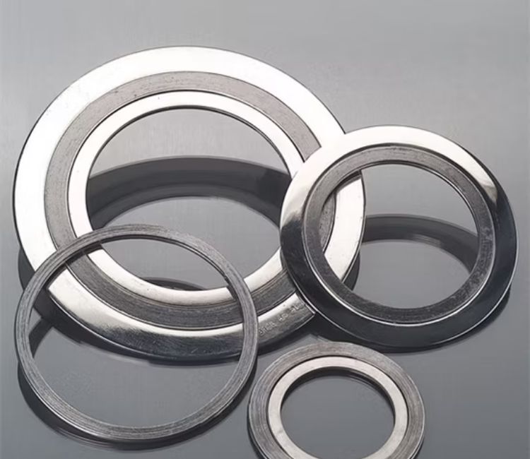 Stainless Steel Gaskets Supplier.jpg