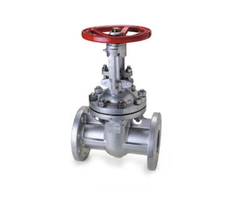 Stainless_steel_gate_valves_manufacturer_in_india